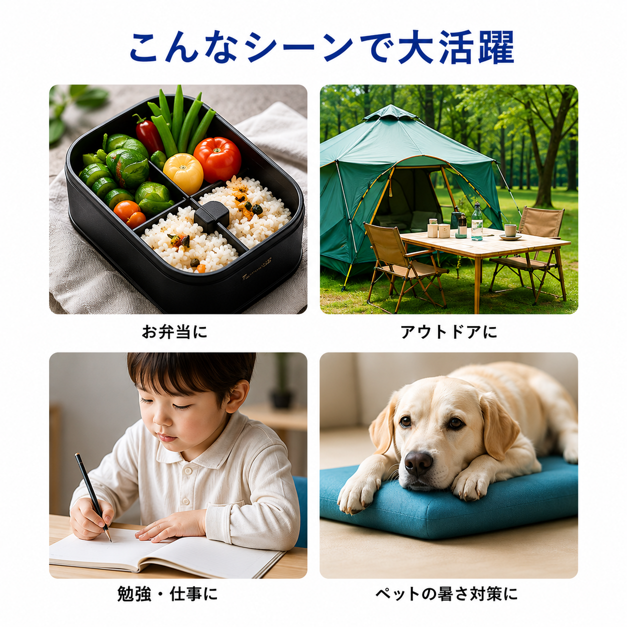 溶けにくく、濡れにくい。繰り返し使える保冷プレート